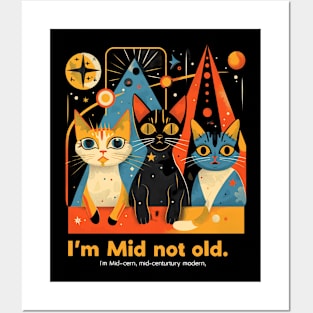 Mid Century Modern CAT Glass Grooves Posters and Art